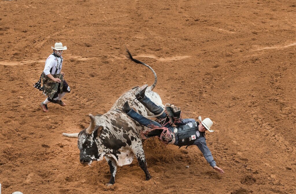 Carol M. Highsmith’s Texas Photograph